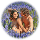 love in the lupine flowers